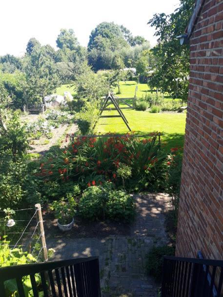Studio Nok Bij Den Bosch Den Dungen エクステリア 写真